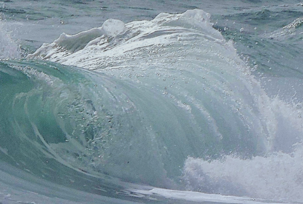 Trois regards sur la mer PCC galerie du Fort Montauban LEFORT galerie exposition photographie